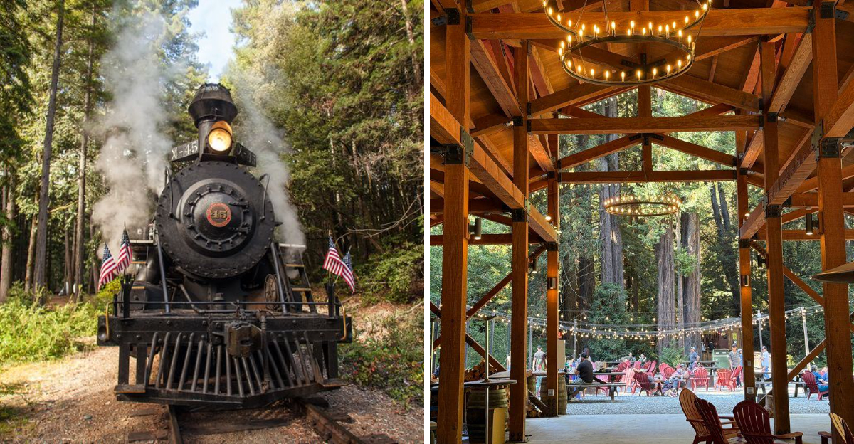 This Scenic California Train Ride Takes You To A Forest Dinner Deep In The Redwoods - Decor Hint