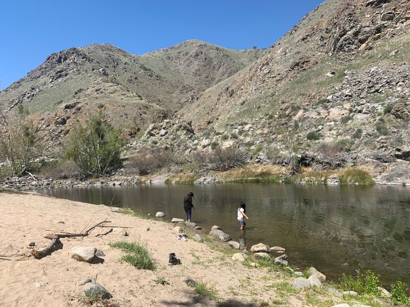 Lakeside Picnic Tables