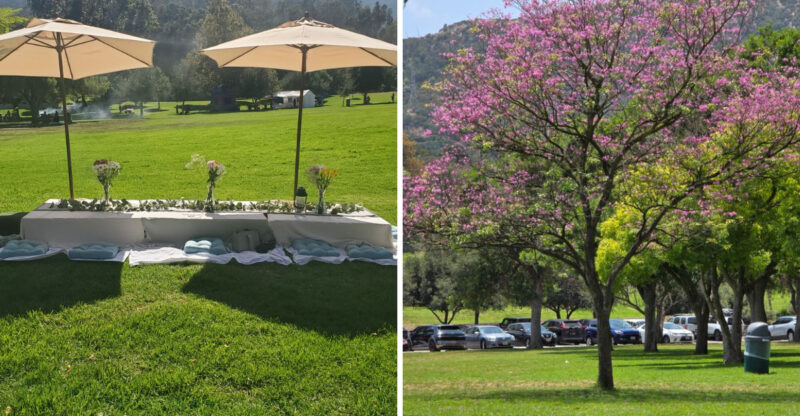 This Scenic Picnic Spot In California Is Perfect For A Valentine’s Day Date In 2026