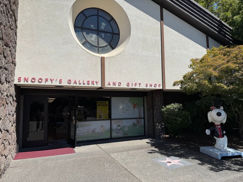 Where The Museum Is Located