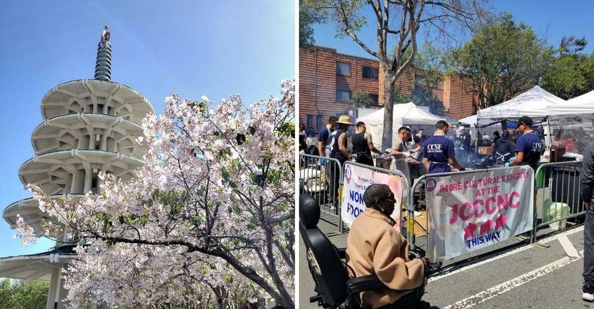 This Spring Cherry Blossom Festival In California Is So Surreal Youll Think Youre In A Dream - Decor Hint