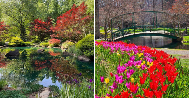 This Spring Experience One Of Georgia’s Most Stunning Floral Displays