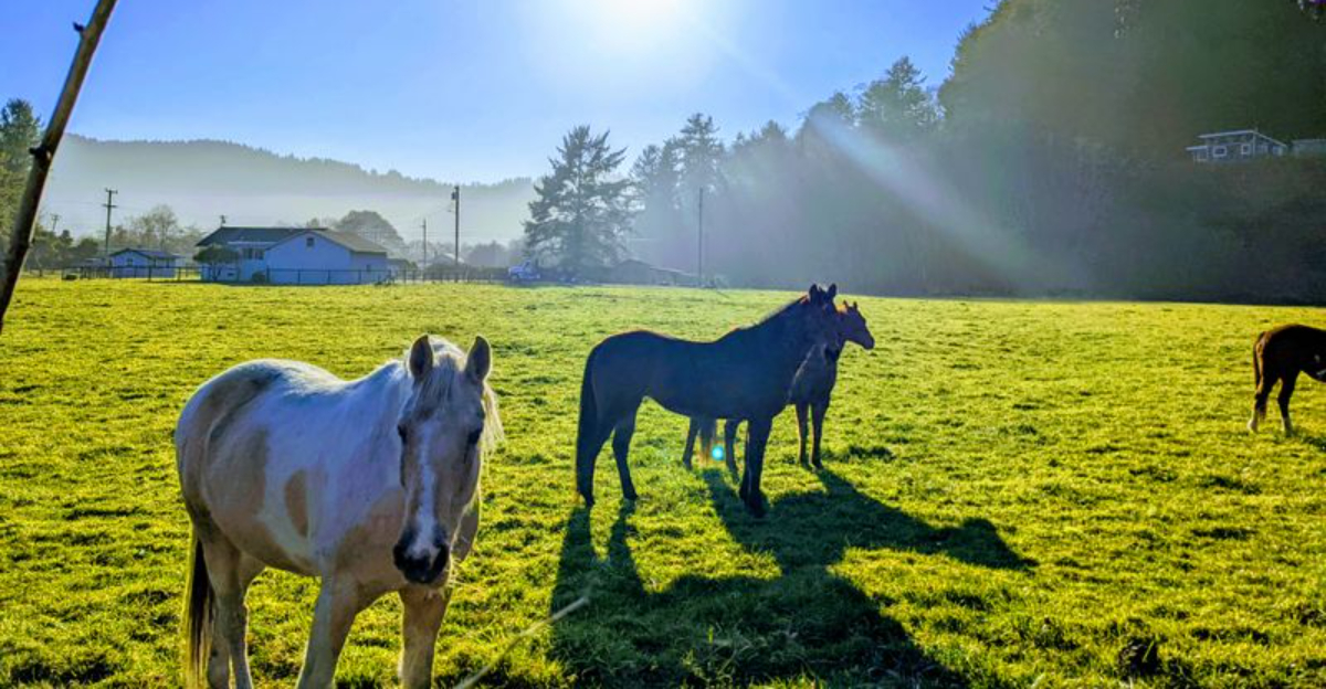 This Tiny California Town Hides One Of The West Coasts Most Incredible Natural Wonders - Decor Hint