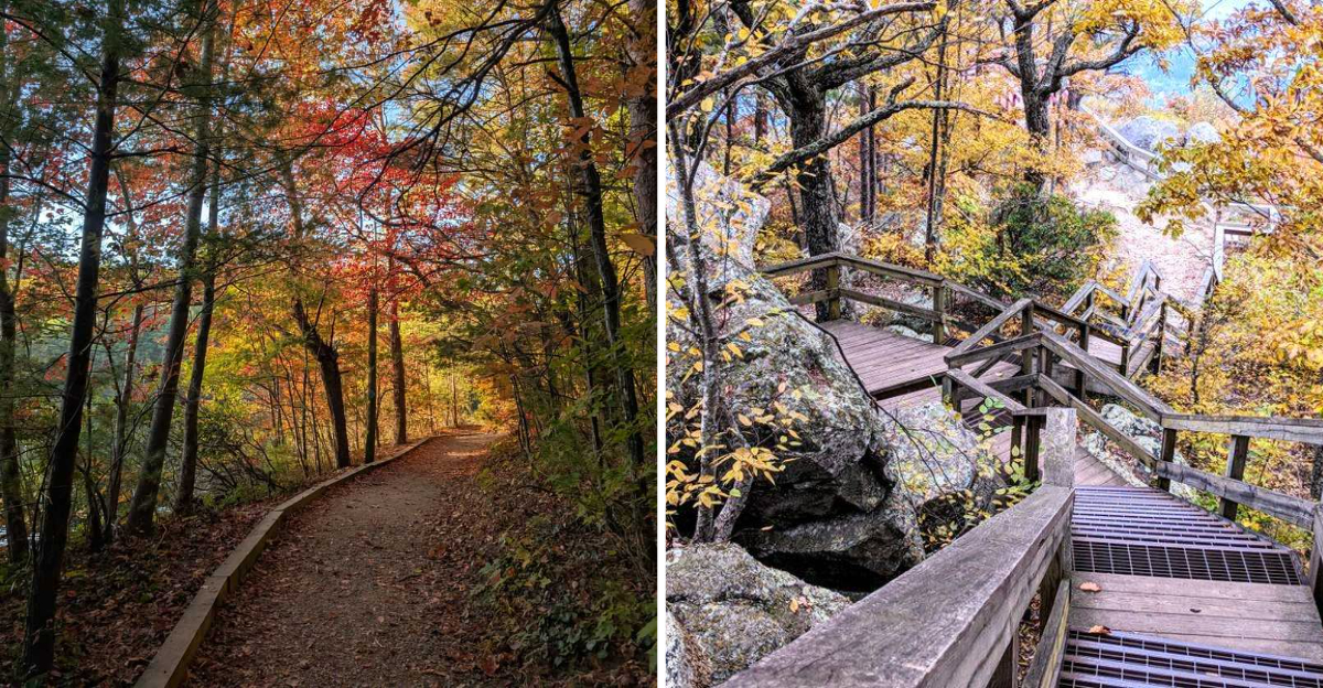This Underrated Georgia State Park Is So Peaceful Youll Feel Miles Away From It All - Decor Hint