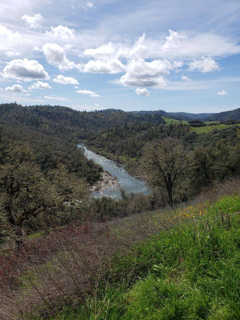 The Discovery That Changed Everything