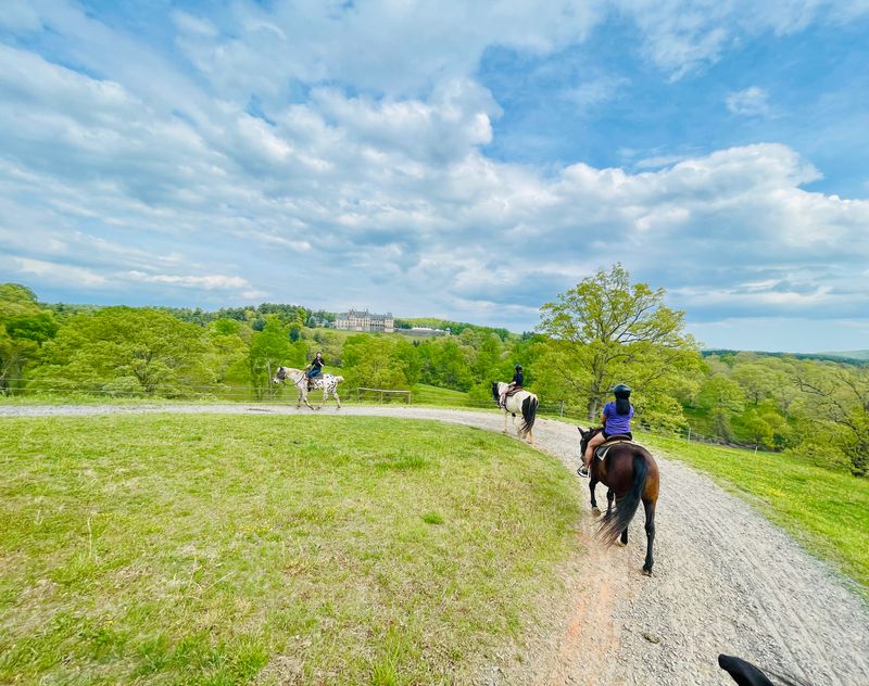 Guided Western-Style Horseback Rides Through Enchanted Estate Trails