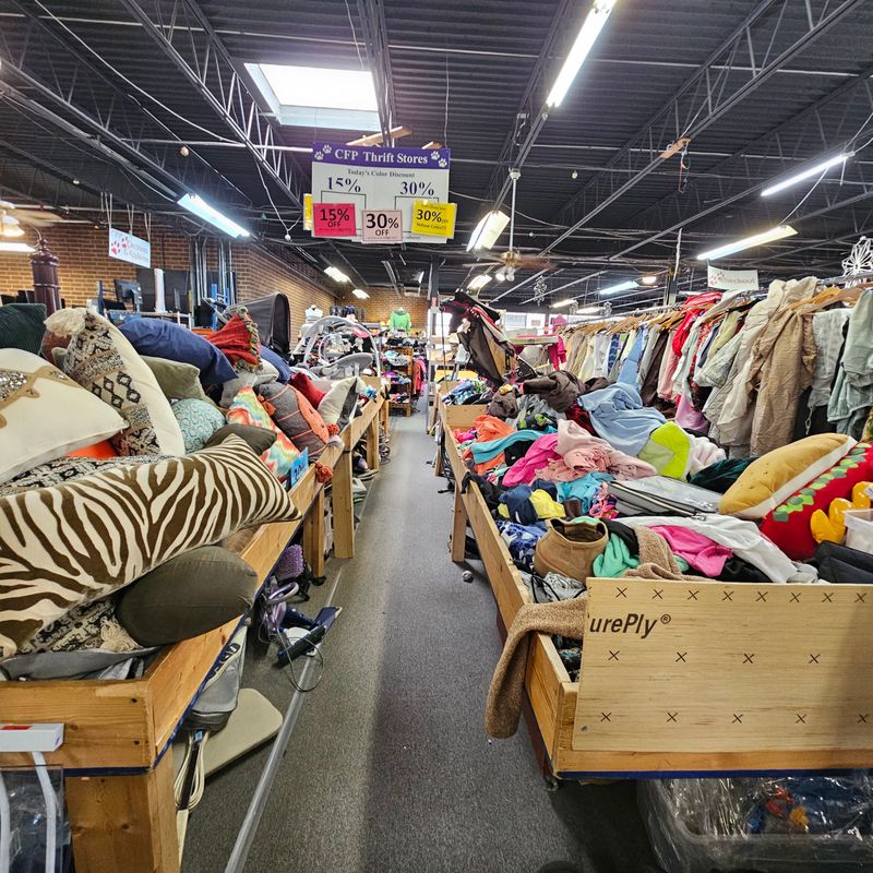 These North Carolina Secondhand Shops Turn Old Items Into New Obsessions - Decor Hint Cause for Paws Thrift Shop, Raleigh