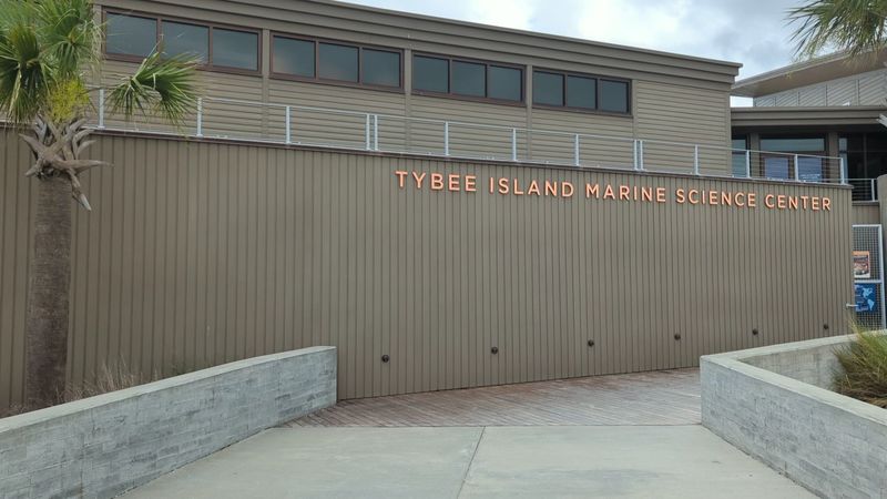 Seining Adventures In Shallow Waters