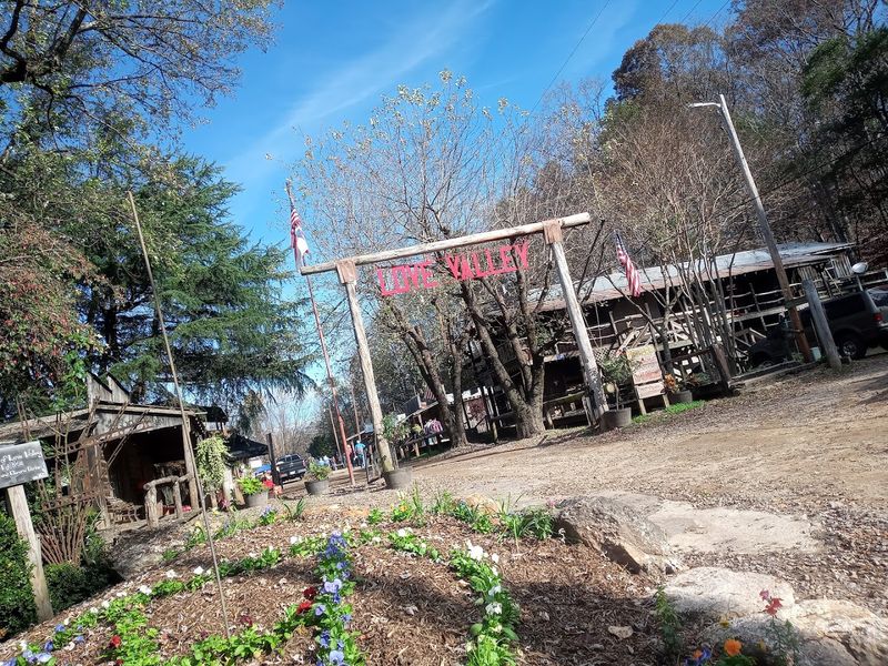 1970 Rock Festival History