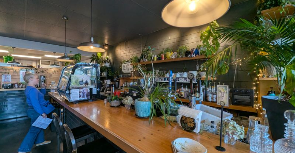 Top Rated Vegan Restaurants In North Carolina You Need To Try This Year - Decor Hint