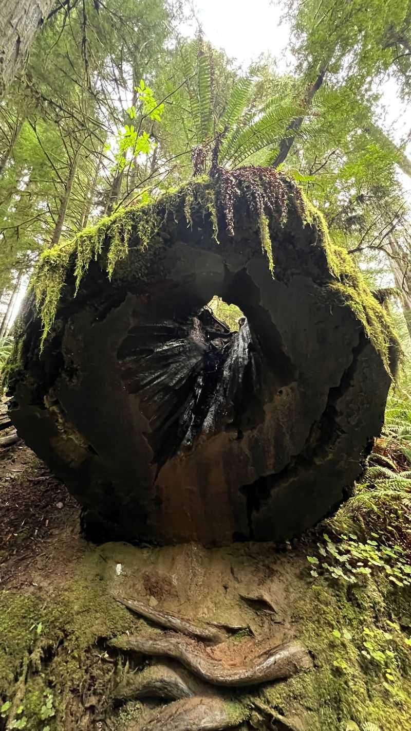 Historical Significance