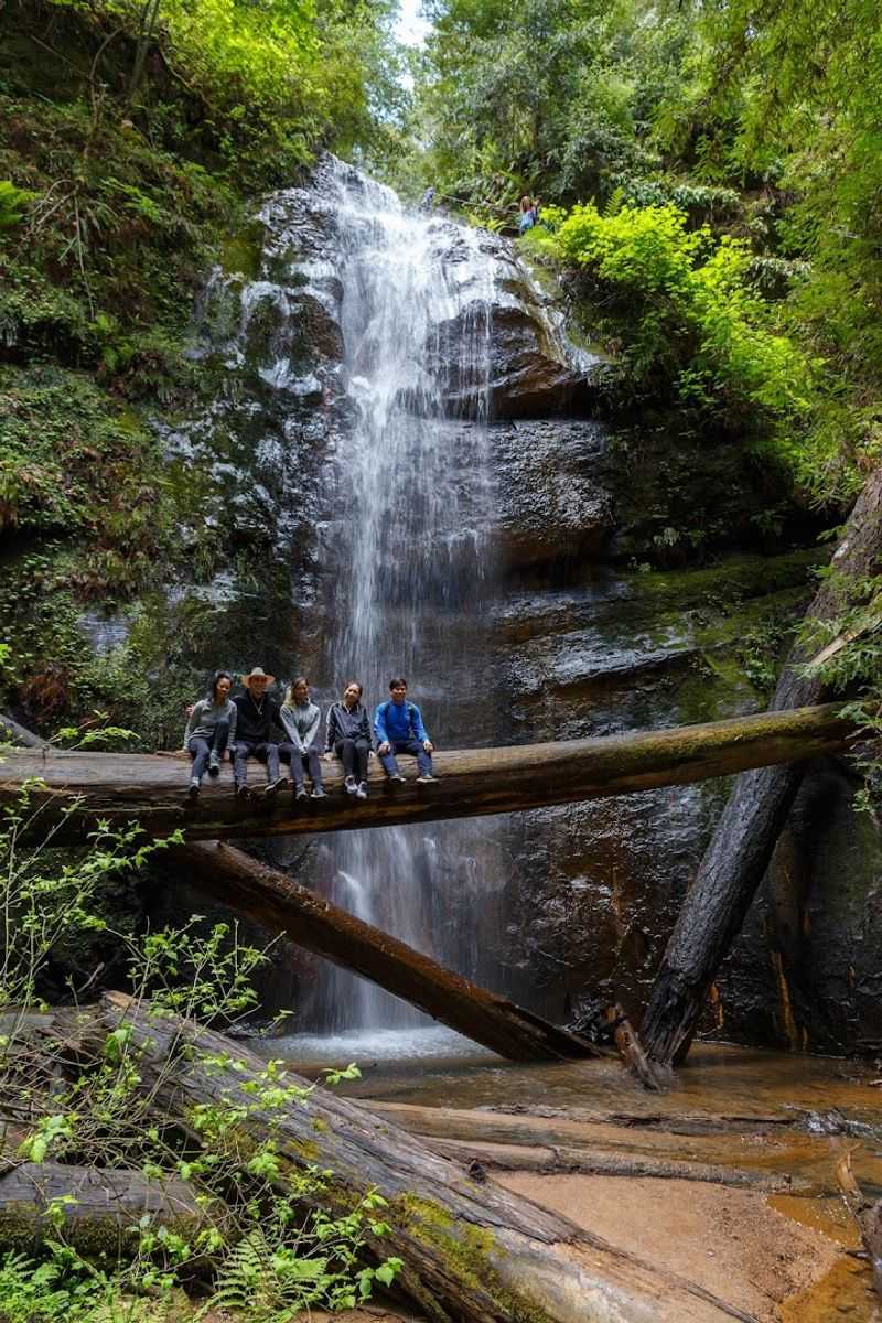 California's Oldest State Park Is Filled With Redwoods That Are Over 1,000 Years Old - Decor Hint Wildlife Including Deer, Squirrels, And Diverse Bird Species