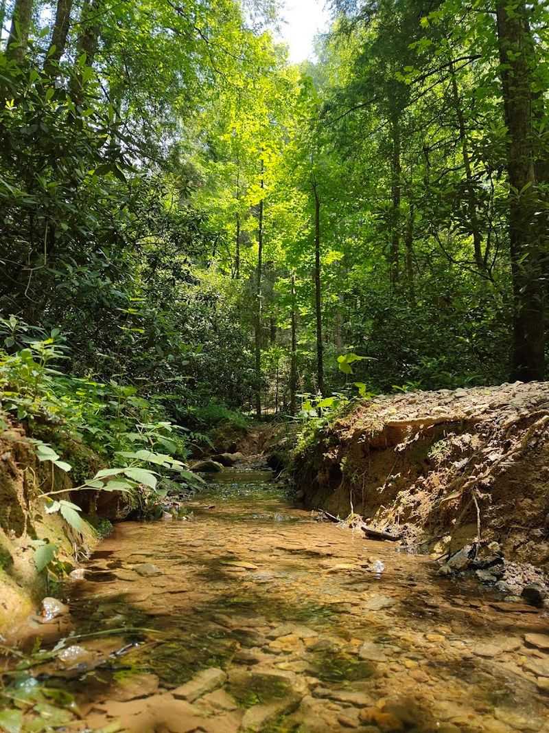 This Is Where You'll Find Georgia's Longest Swinging Bridge Hanging Suspended Over A Pristine River - Decor Hint Primitive Camping Along the Riverbanks