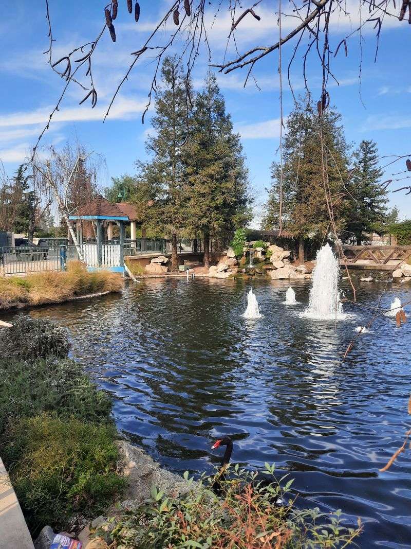 Friday Night Concerts Around The Koi Ponds