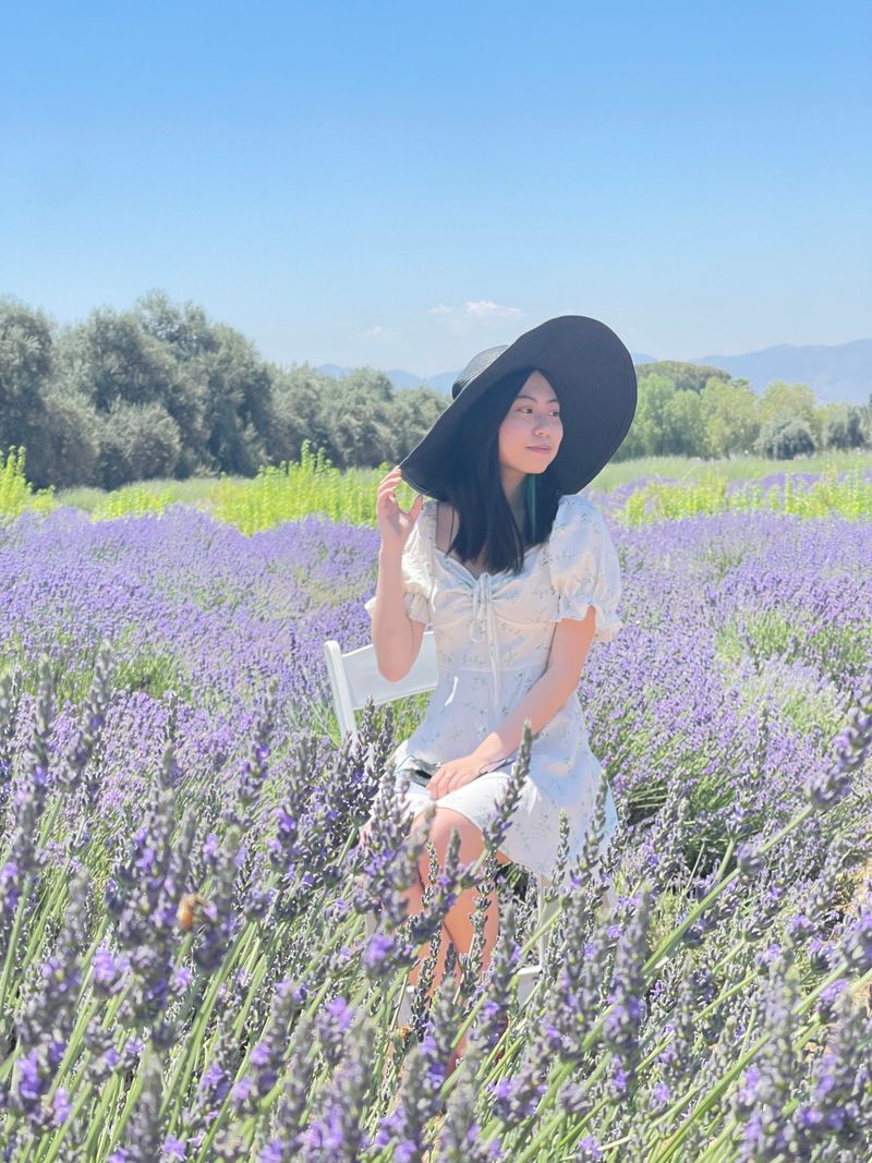 Accessibility And Visitor Considerations