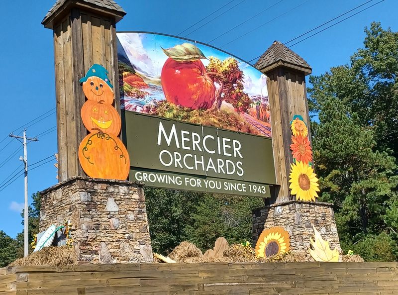 Mercier Orchards – Farm Café