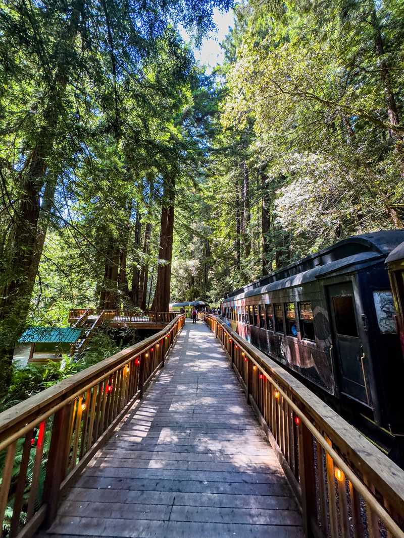 Glen Blair Junction Provides Remote Forest Access