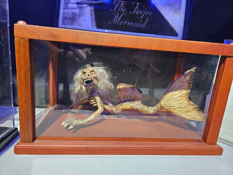 Enter A North Carolina Museum Haunted By Secrets You Can’t Explain - Decor Hint Feejee Mermaid Exhibit Explores Famous Hoaxes