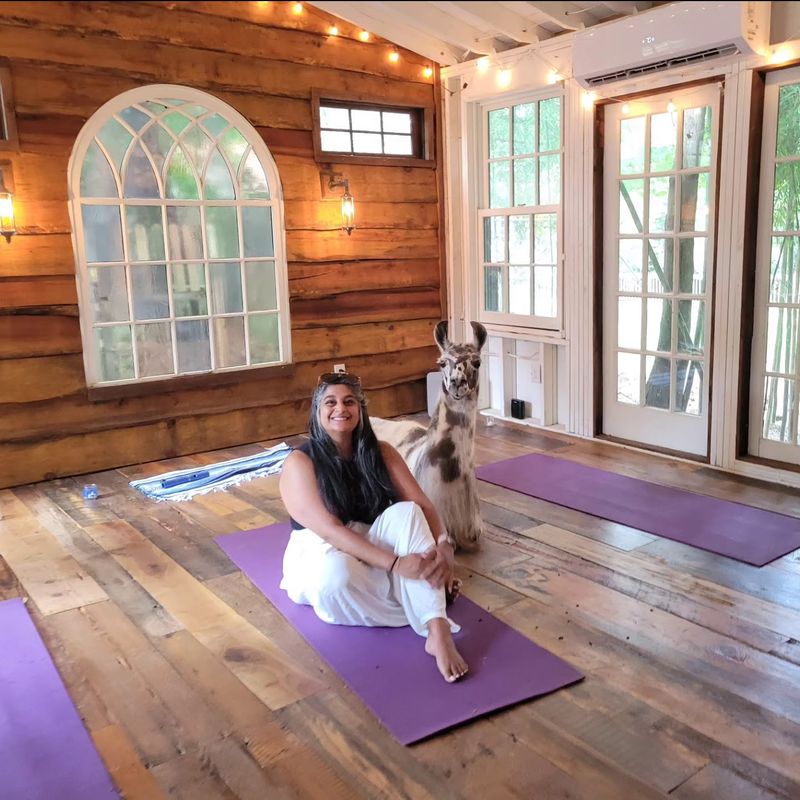 Educational Experience for Children