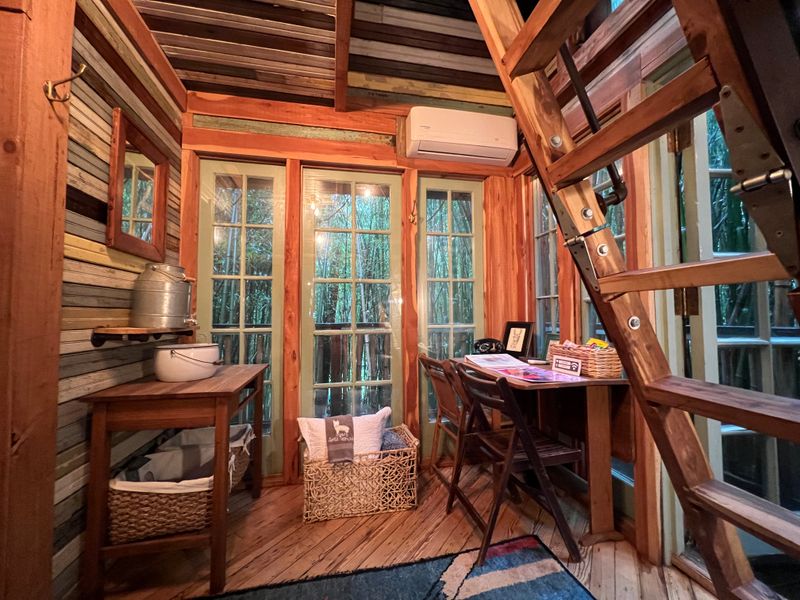 Architectural Wonder Meets Nature