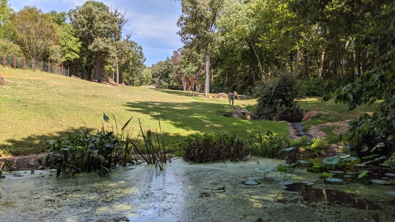 Sustainability And Environmental Stewardship