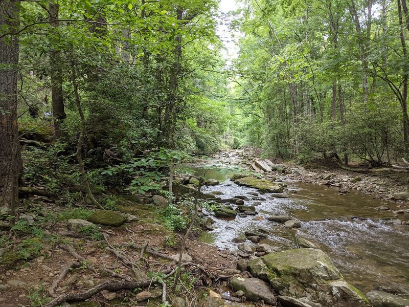 The Quiet City In North Carolina Where You Can Live On Nothing But Social Security - Decor Hint Broad River Greenway Offers Free Recreation