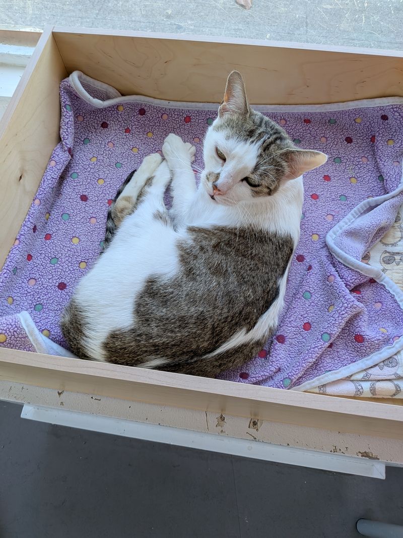 Volunteers Keep The Operation Running Smoothly Daily