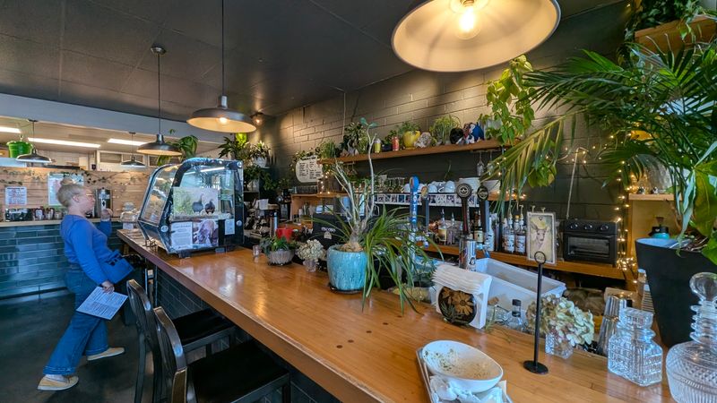 Top-Rated Vegan Restaurants In North Carolina You Need To Try This Year - Decor Hint The Smokin’ Onion, Asheville