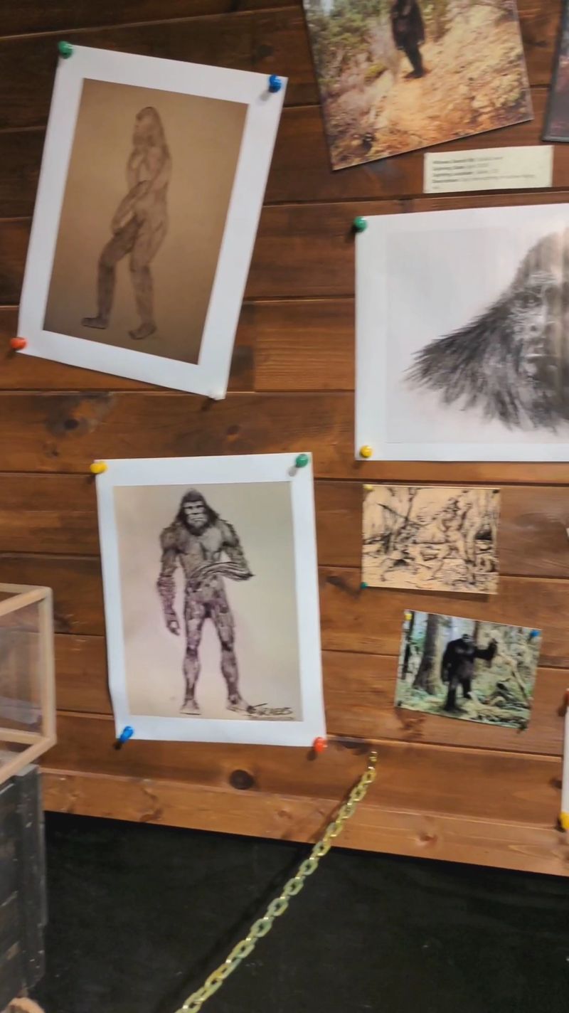 Explore Historical Sighting Maps and Reports