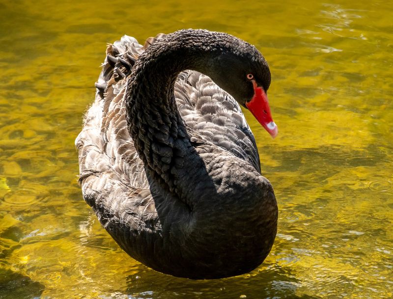 Year-Round Operation Allows Visits In Every Season