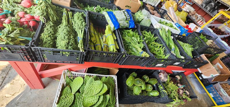 Plants and Garden Supplies