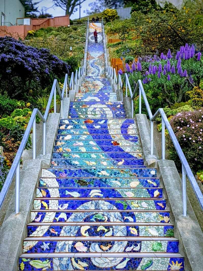 Photography And Social Sharing Culture