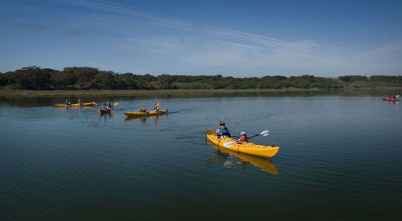 Kayaking Provides Water-Level Wildlife Perspectives