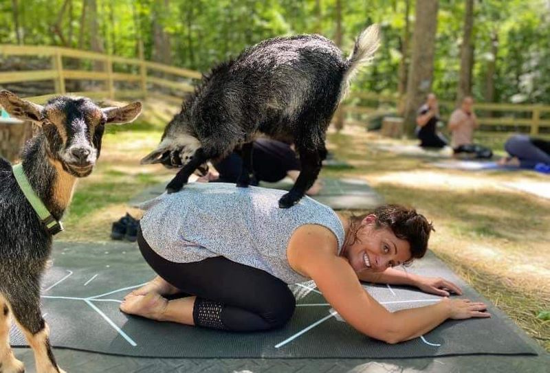 Educational Programs and Workshops