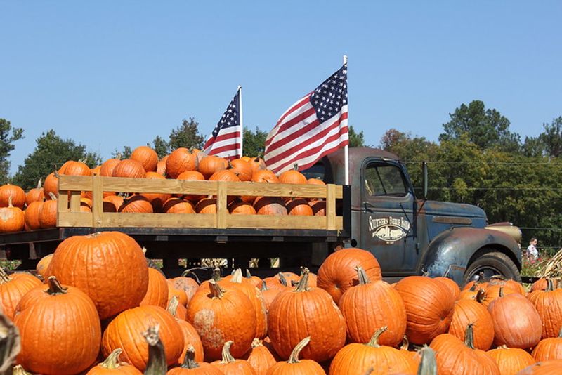 Pick Your Own Georgia Peaches & Experience Farm Life At This 330-Acre Farmland In McDonough - Decor Hint Pumpkin Patch Picking