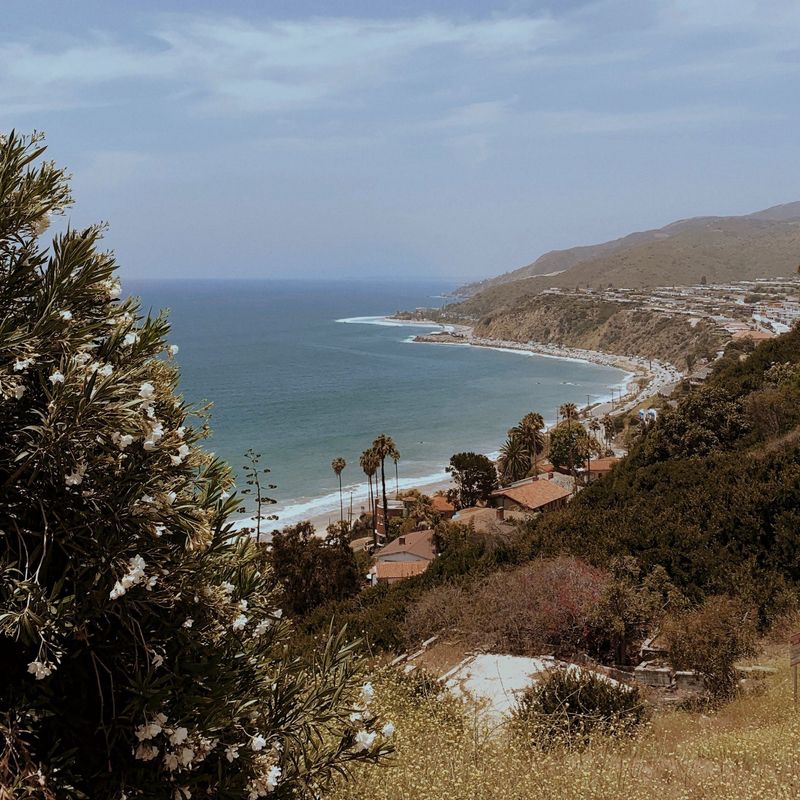 40 Incredible Things To Do In Los Angeles, California This February - Decor Hint Explore Topanga State Park