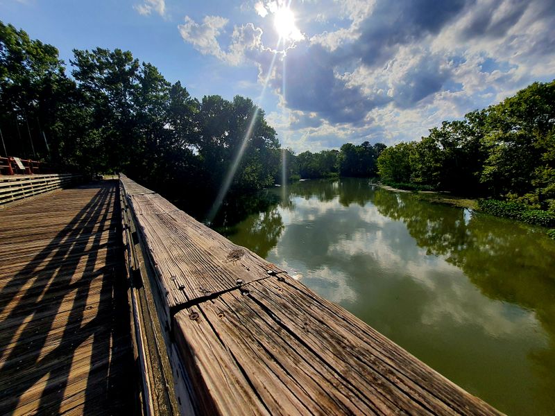 These 15 Cute Things To Do In Georgia This Month Will Make You Feel Like You're In Europe - Decor Hint Walk Through Augusta's Canal District