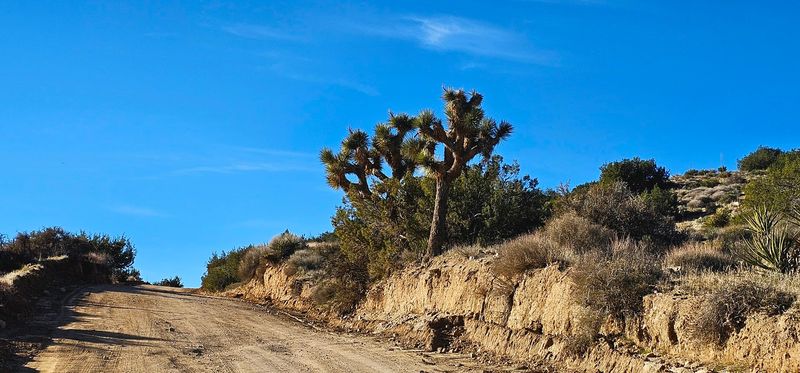 Seasonal Considerations Affect Visit Comfort