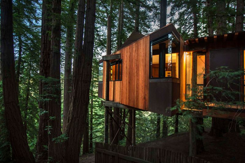 Tree Houses Offer Elevated Forest Sanctuary