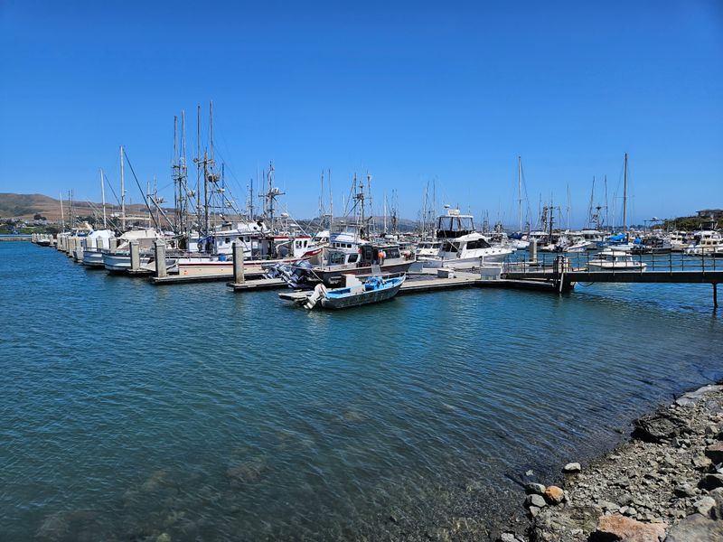 Spud Point Crab Company Serves Dungeness Straight from Boats
