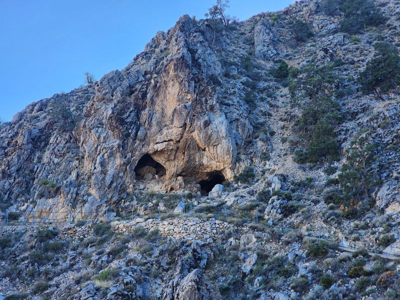 Wildlife And Geological Features You'll See