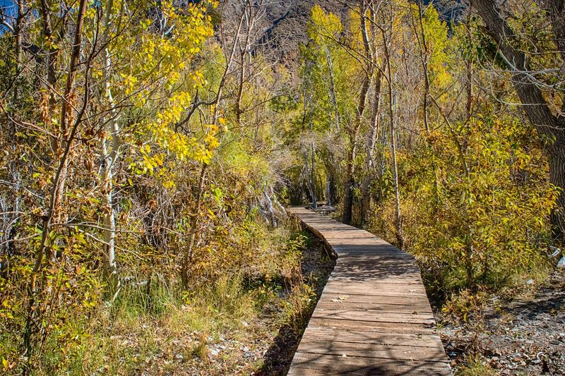 Paved Lakeside Loop Trail