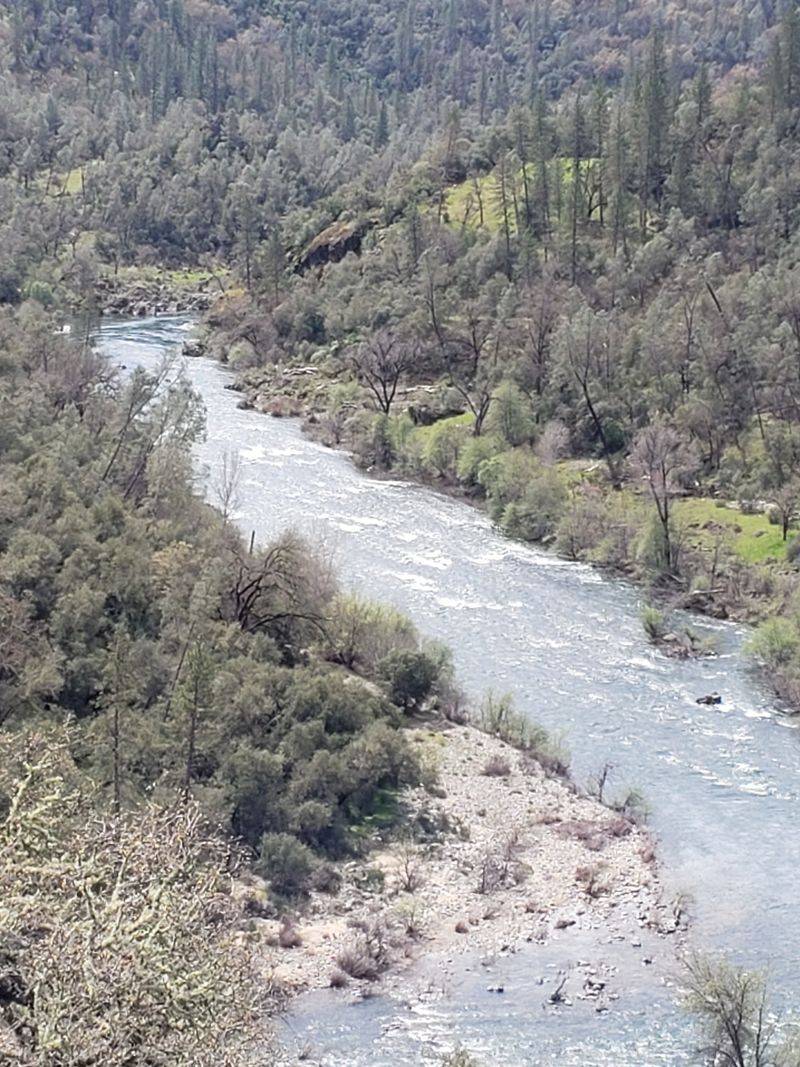 Echoes Of The Forty-Niners