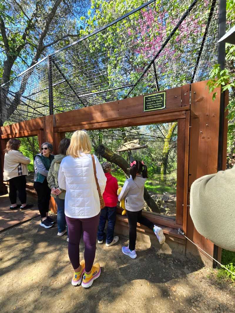 How The Sanctuary Began