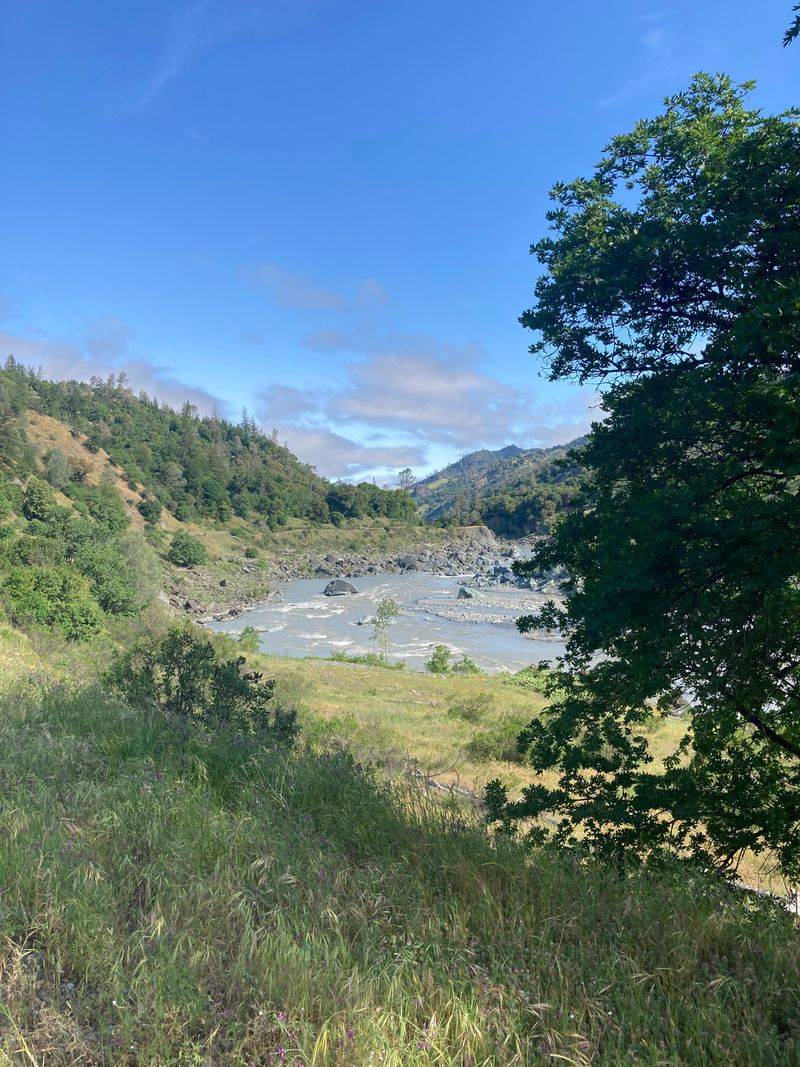 Biodiversity Of The River Estuary