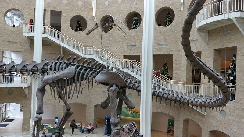 Step Into The Land Of Giants At This Incredible Atlanta Georgia Museum That Houses The World's Largest Dinosaurs - Decor Hint Fernbank NatureQuest