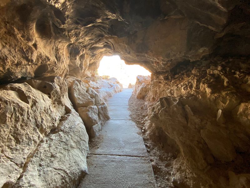 Safety Rules And Preservation Efforts