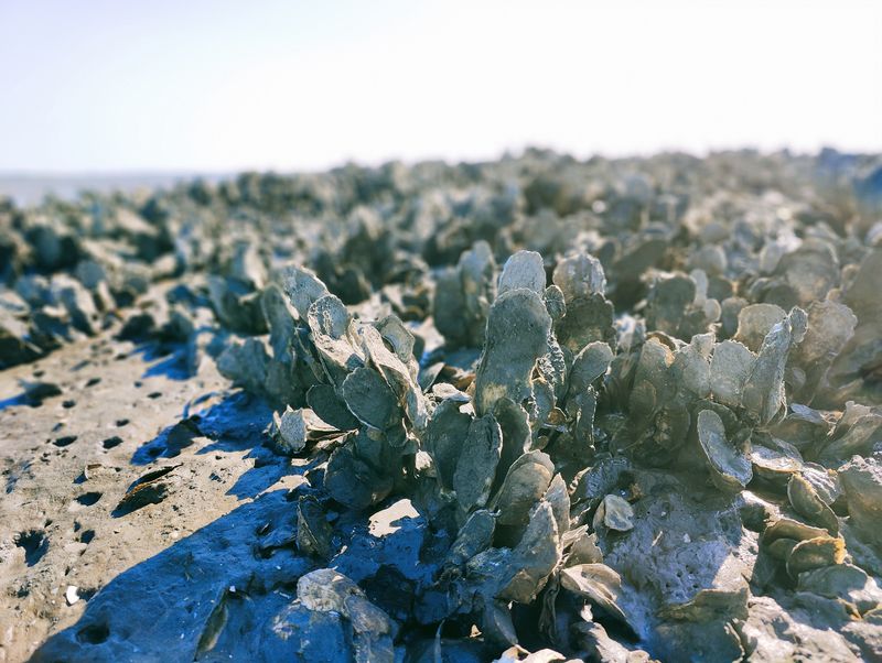 Recent Natural Phenomena And Ongoing Research