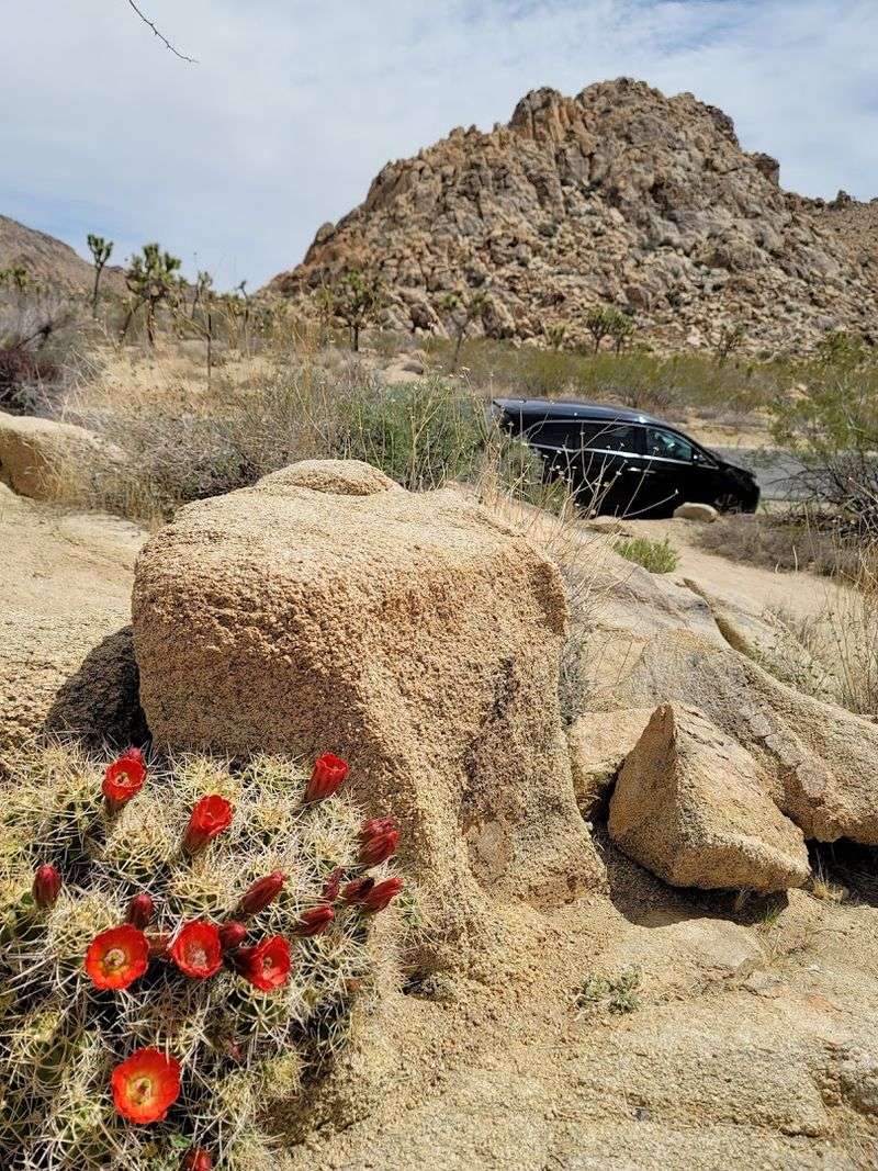 October Through April Offers Ideal Hiking Conditions