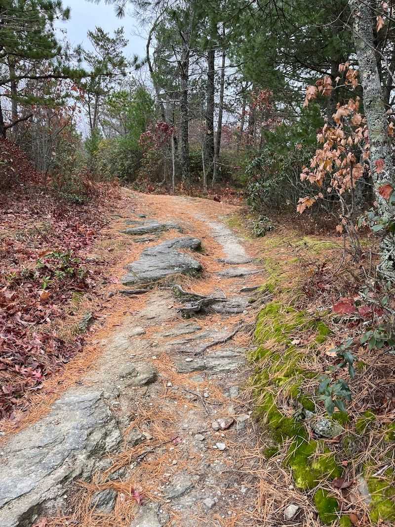 A North Carolina Overlook That Feels Like The Top Of The World - Decor Hint Unpaved Access Road Challenge